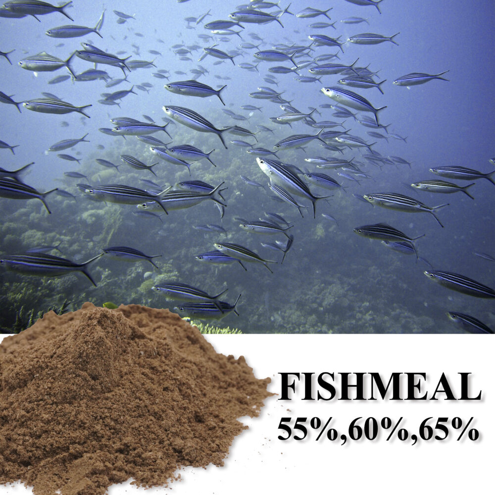 Fishmeal