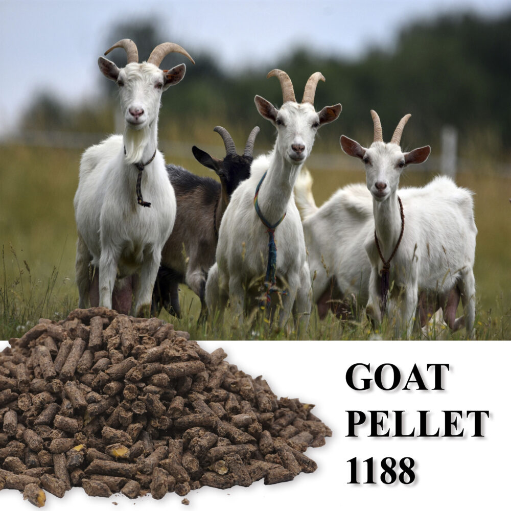 Goat Pellet