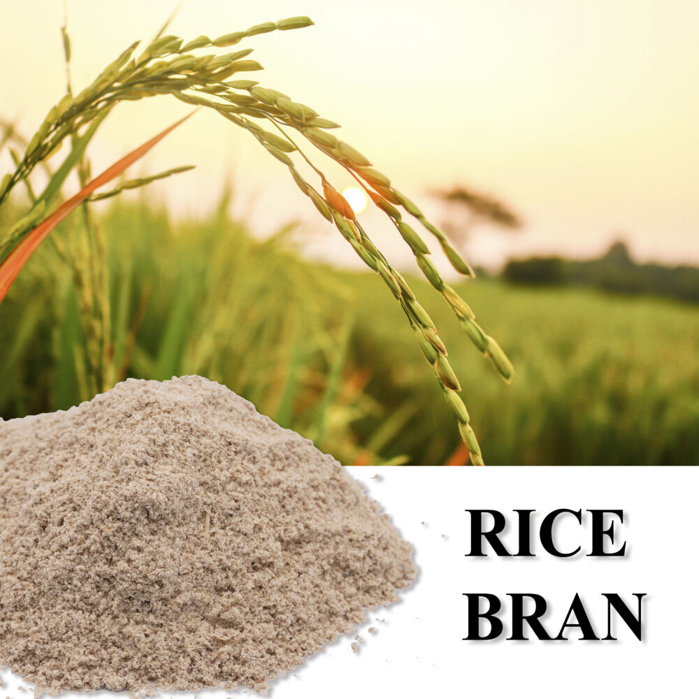 Rice Bran