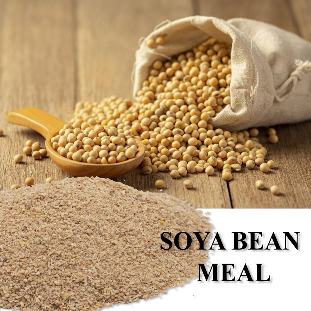 Soyabean Meat