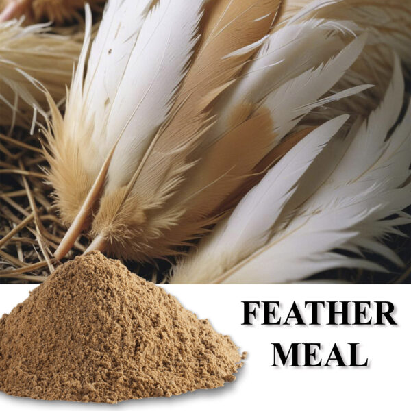 Feather Meal