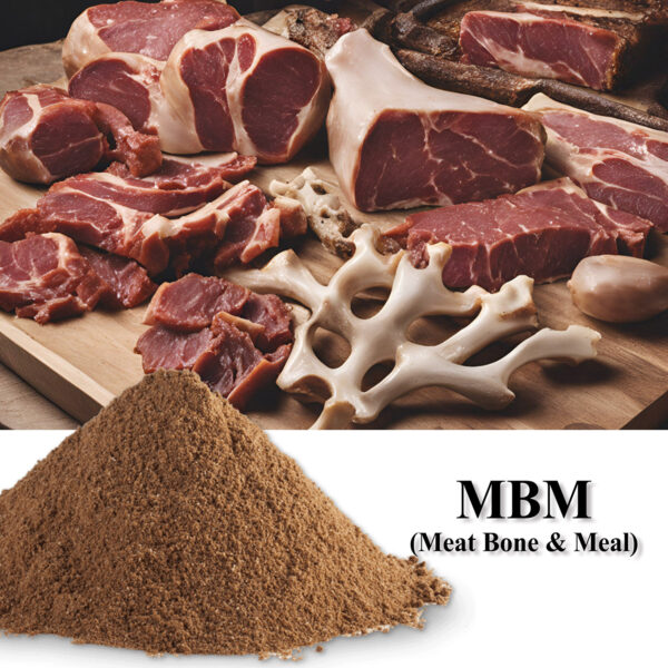 MBM (Meat Bone & Meal)